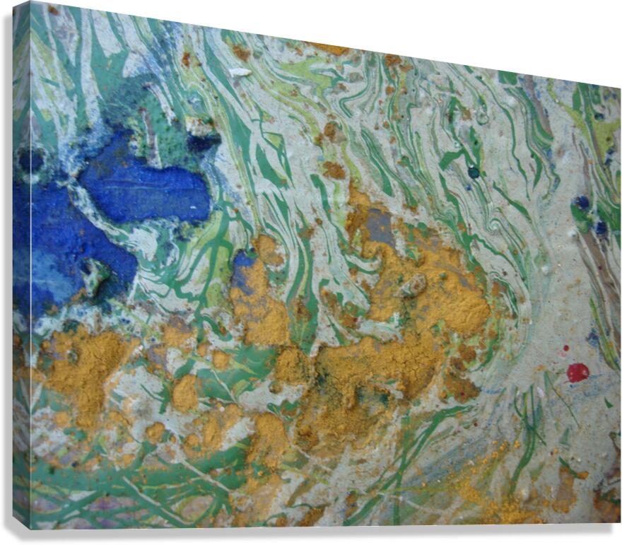 DSC02225 Canvas Print