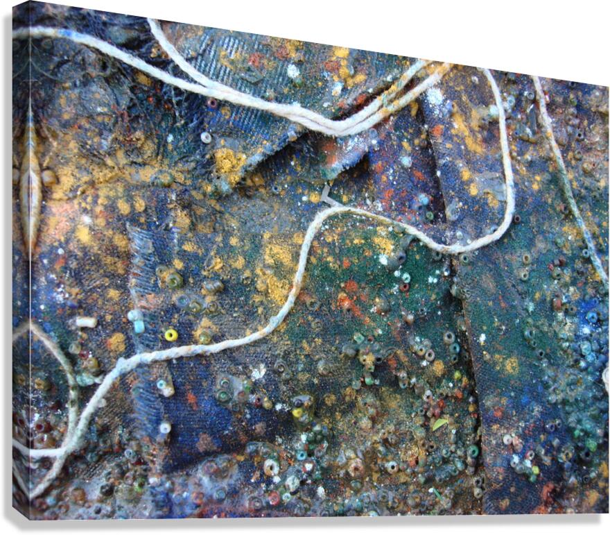 Textured Tapestry Canvas Print