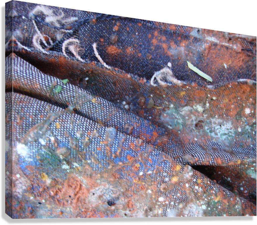 Textures of Time: Decay and Renewal Canvas Print