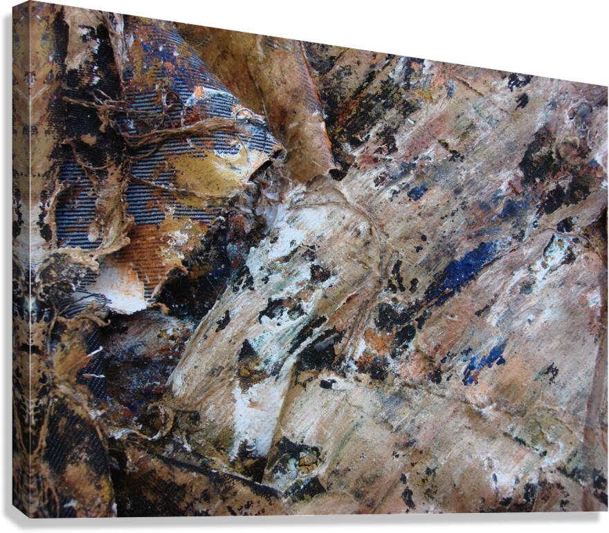 DSC02236 Canvas Print