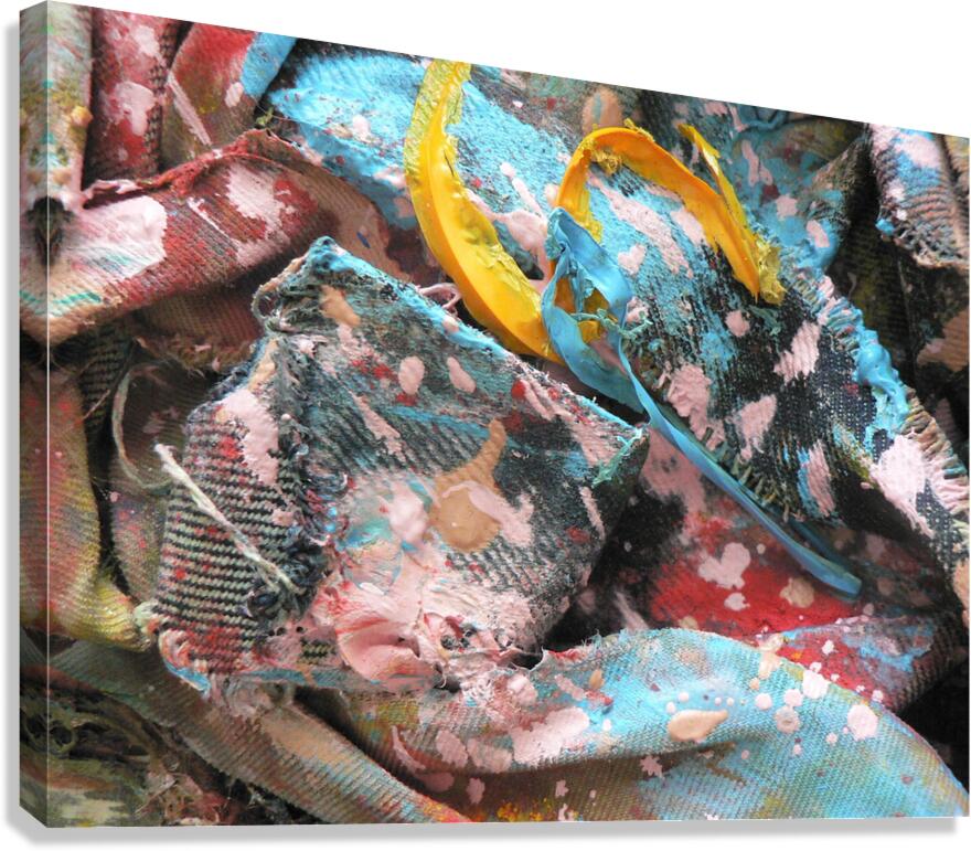 P1090834 Canvas Print