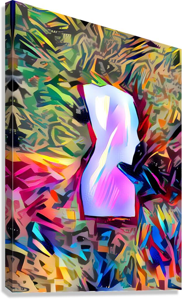 the digital pass Canvas Print