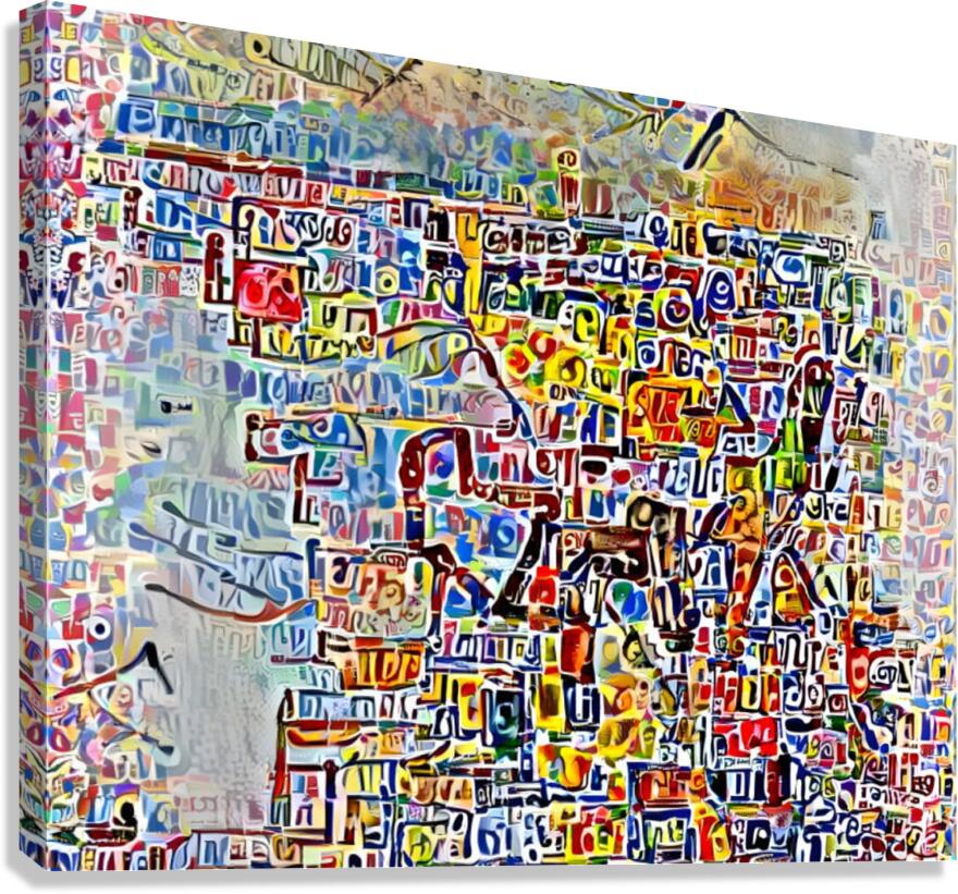 letter reflections Canvas Print