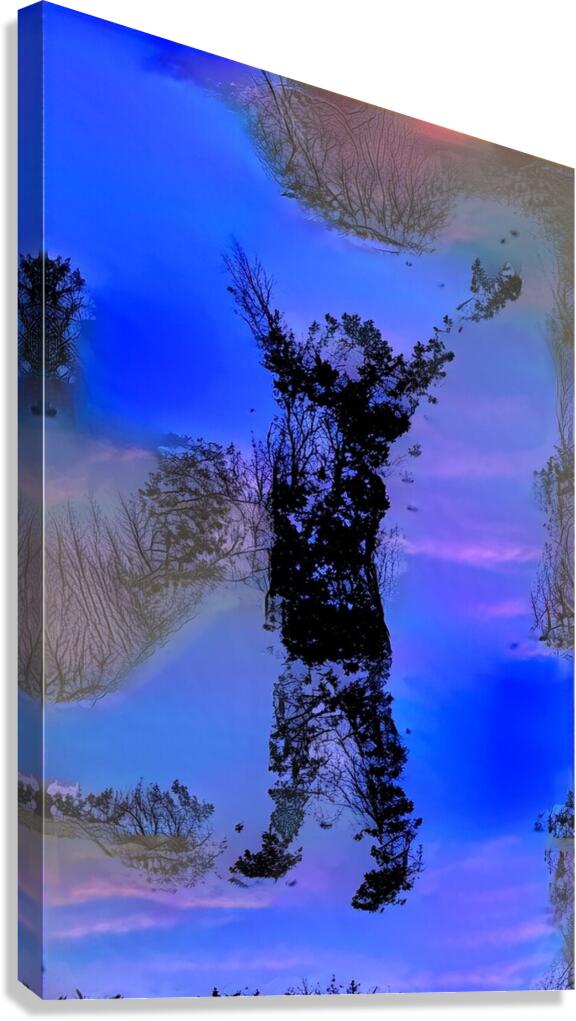 img7429167 bc1a5570535542a9.v1 Canvas Print