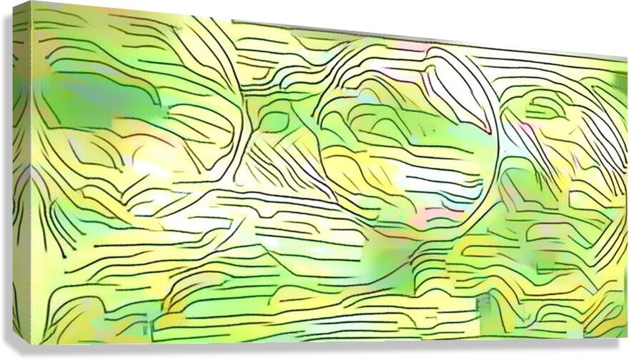 img7431688 4cc34ccdefa6a6f3.v1 Canvas Print