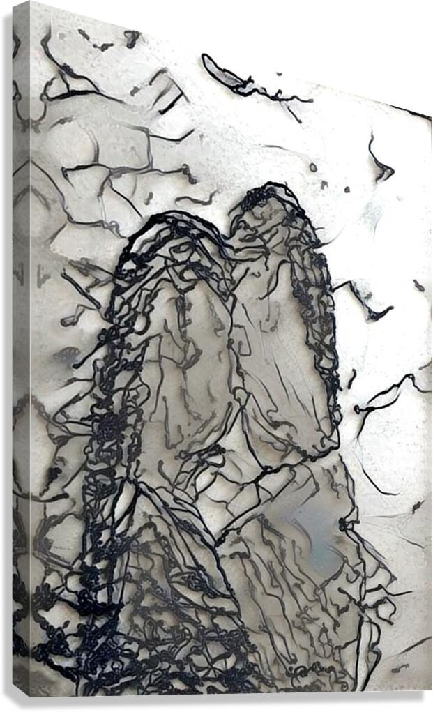 img7415806 ccac23a24d787d36.v1 Canvas Print