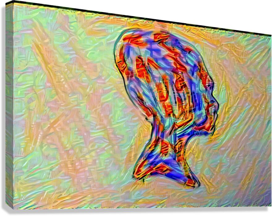 Mindscape Canvas Print