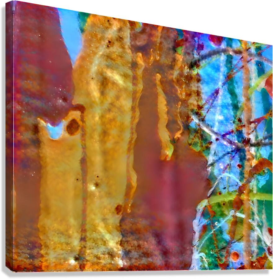 colour strip closeup Canvas Print