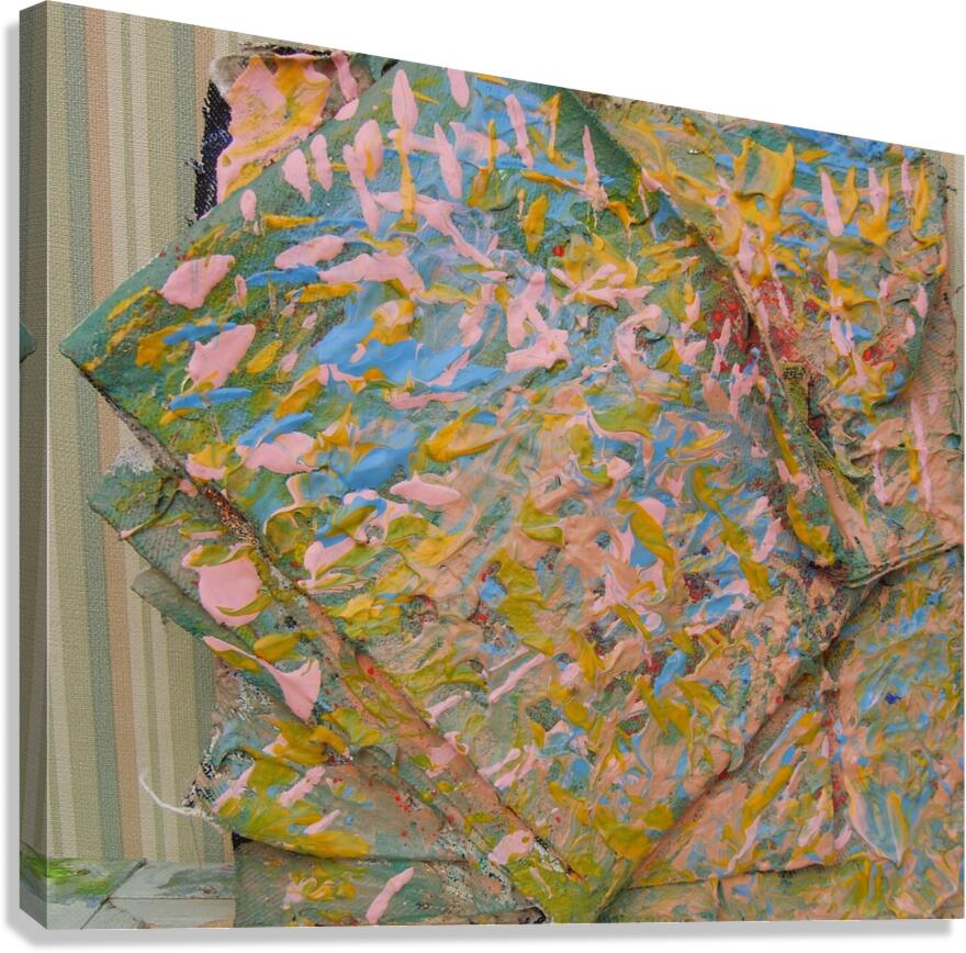 Formation Canvas Print