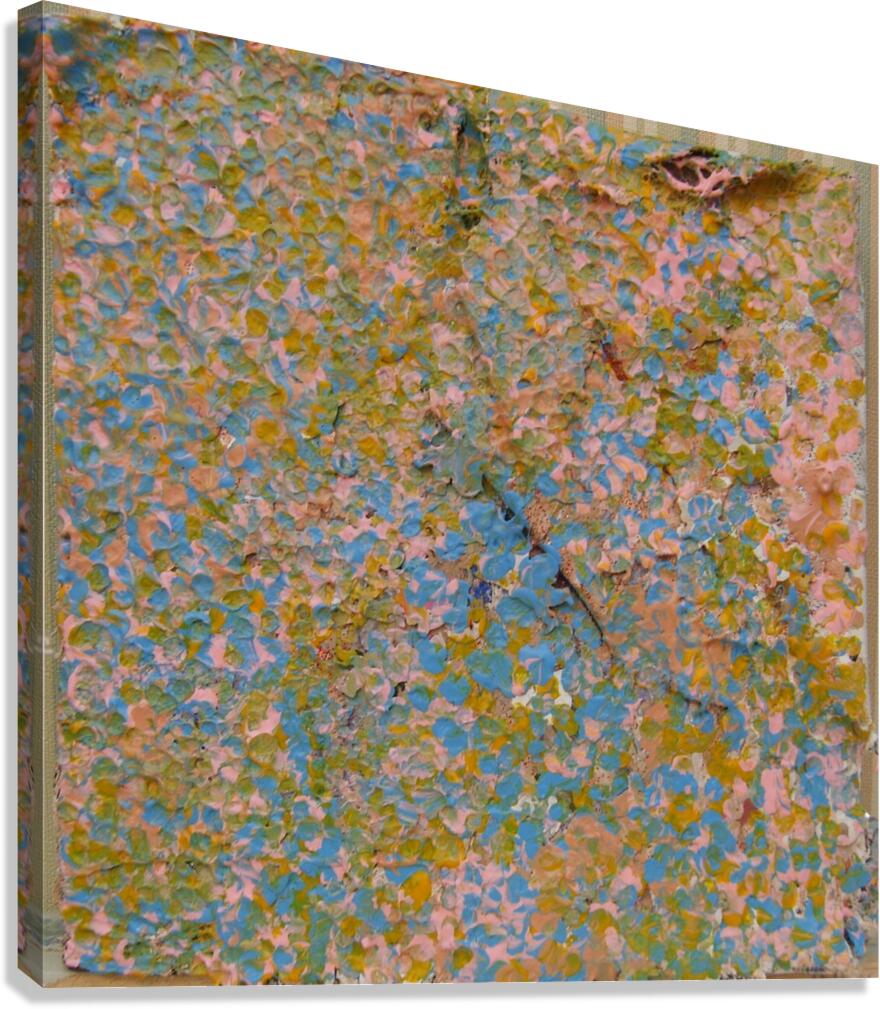 layers of texture Canvas Print