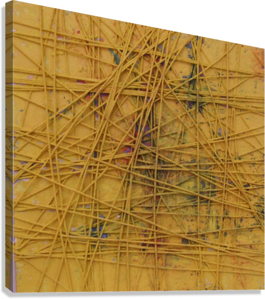 intertwined Canvas Print