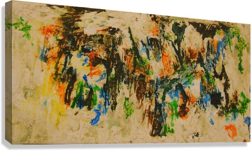 path texture Canvas Print