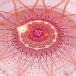 on the way to the unknown 003