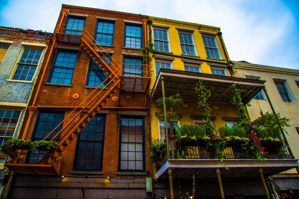 Living in Color Print