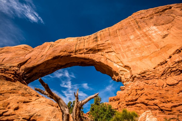 North Window 1 Print