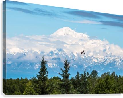 Denali Canvas Print