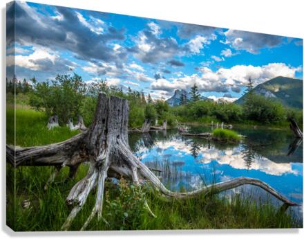 Canadas Jurassic World Canvas Print