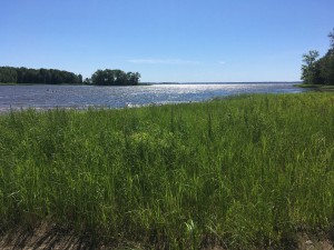 IMG_0775 by khalil merabet