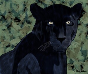 Black Jaguar. Clayton T