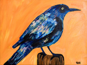 Iridescent Grackle. Erin R