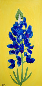 Texas Bluebonnet. Erin R
