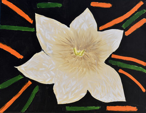 Water Lily. Stephanie L