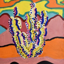 Cactus in the Summertime. Ali H