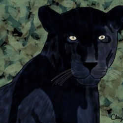 Black Jaguar. Clayton T