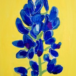 Texas Bluebonnet. Erin R