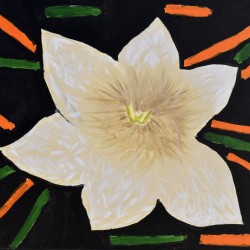 Water Lily. Stephanie L