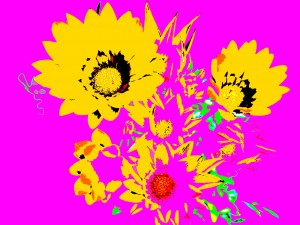 Rainbow Flower - Pink