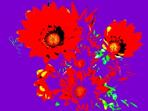 Rainbow Flower - Purple