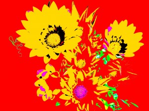 Rainbow Flower - Red