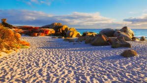 Bay of Fires Sunrise