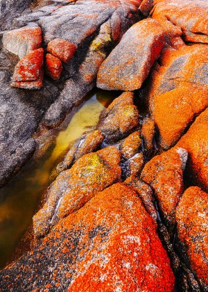 Australia Rocks - Abstract 40