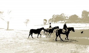 Morning Ride - High Country