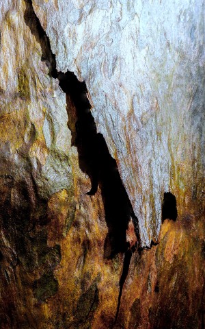 Aussie Gum Tree Bark - 8
