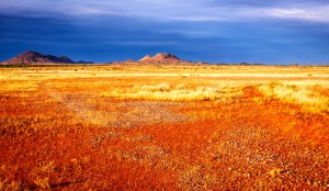 Somewhere in the Outback 