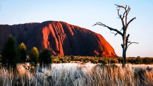 Uluru at Dawn - 1