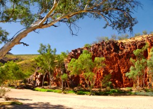Dry River - Ormiston Gorge