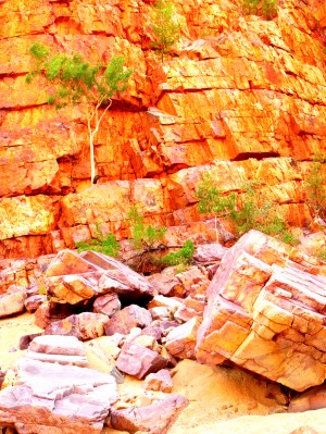 Surviving - Ormiston Gorge