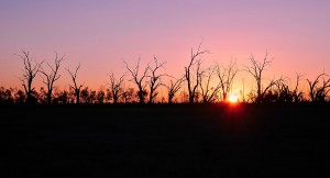 Setting Sun on Pamamaroo Lake