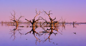 Twin Reflections - Pamamaroo Lake