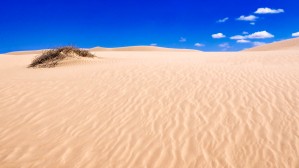 Pink Sandhills - Mungo NP