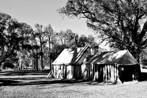 Old Wilpena Station BW 