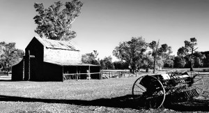 Old Wilpena Station 3 BW