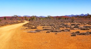 Track in the Outback 2