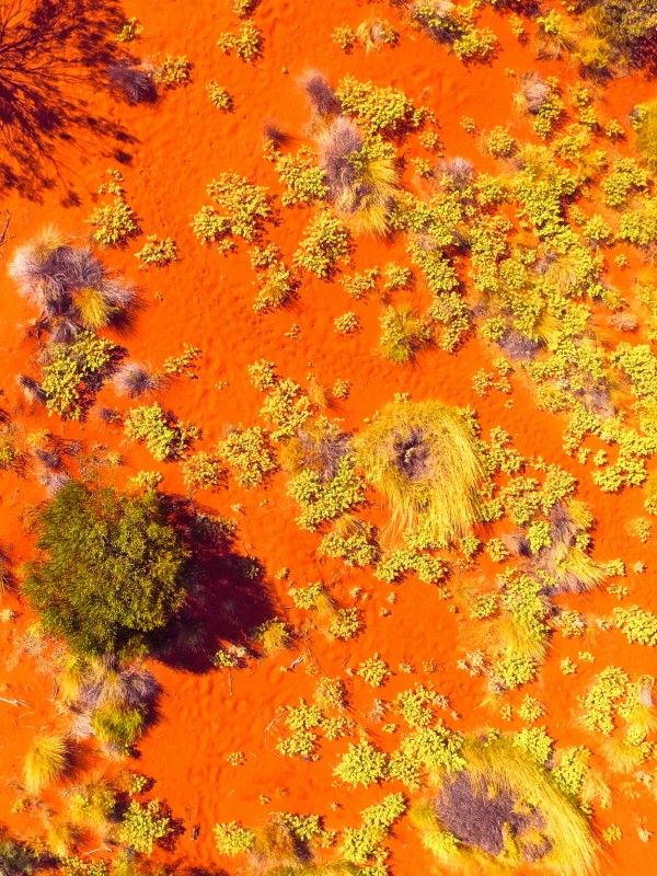 Dunes Aerial  - Central Australia by Lexa Harpell