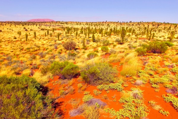 Dune Landscape - Central Australia by Lexa Harpell