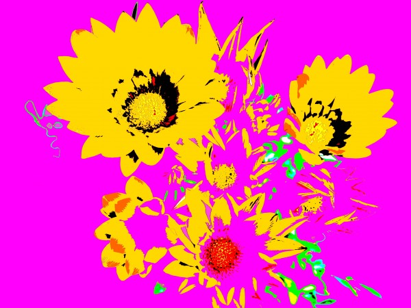 Rainbow Flower - Pink by Lexa Harpell